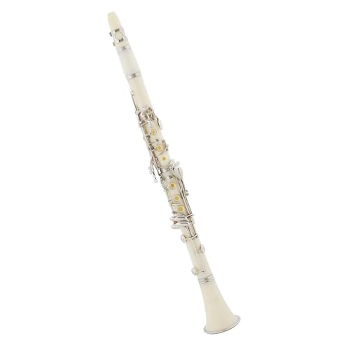 Un clarinetto elegante con qualità e qualità del suono, inizia il tuo sogno musicale!