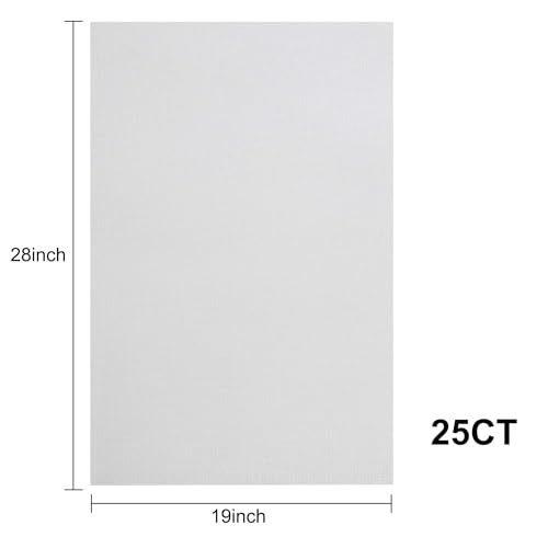 Image of Aida Cloth 25 Count Cross Stitch Fabric,19x28inch (25CT,White)