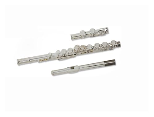 RTGHYTY 16 Closed Hole flute image