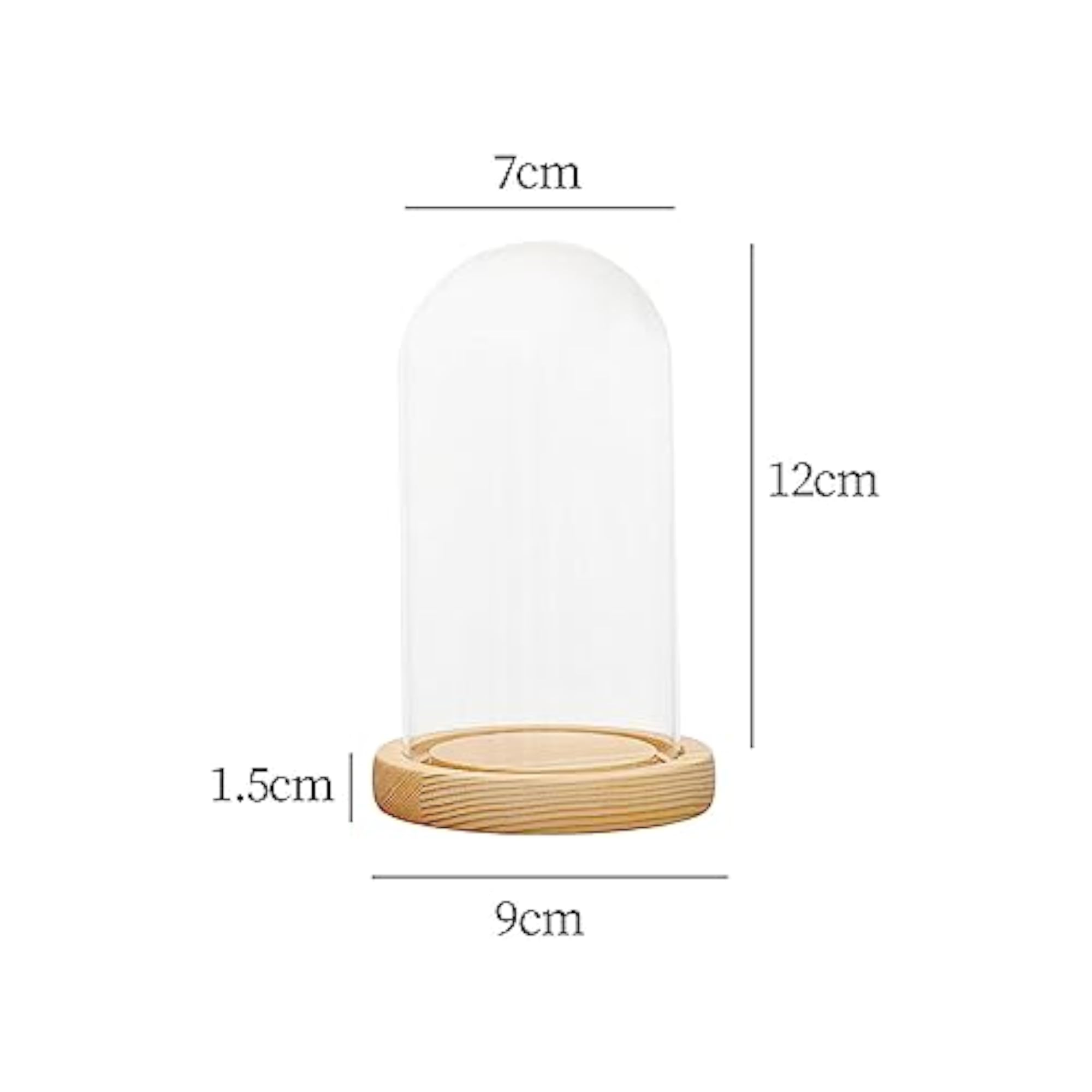Clear Glass Dome Cover Stand with Wood Base