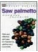 Pocket Healers: Saw Palmetto