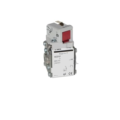 Fusible SC31AR69V500TIM P1047042 cylindrique de rechange 690V
