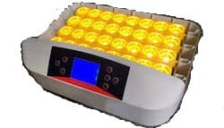 TM&W Small Machine with Automatic 32 Digital Clear 80W Egg Incubator Hatcher Turning Temperature Controller for Chicken Poultry Duck Bird