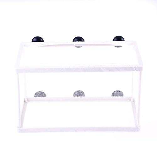 M i a Fish Allevatore Net Box per Acquario