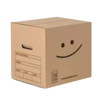 KIT Déménagement T3 Renforcé avec 20 Cartons Standard avec Poignées, 10 Cartons Renforcés, 10 Cartons à Livres, Film à Bulles et 1 Adhésif Offert