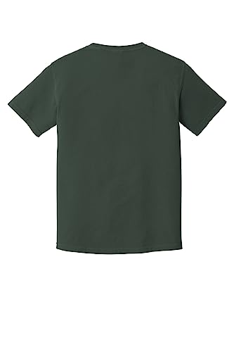 Image of Comfort Colors Adult Short Sleeve Tee, Style G1717