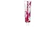 Produktbild Wella Color Touch 55/65 hellbrauner intensiver Purpur-Mahagoni, 1er-Pack (1 x 60 ml)