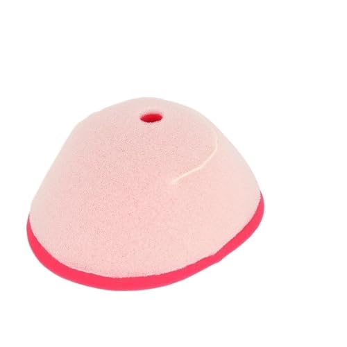 Filtre à air moto anti-impuretés pour restaurer la puissance du RAPTOR 250