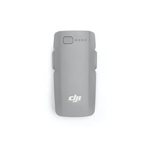 DJI Neo 2 Intelligent Flight Batter...