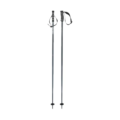 Punta a stella Head Bastoncini da Sci Multi Grey White