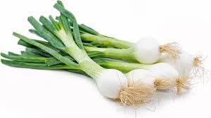 Simply Clean Foods Freeze Dried Spring Onions - Non-GMO - Made in USA