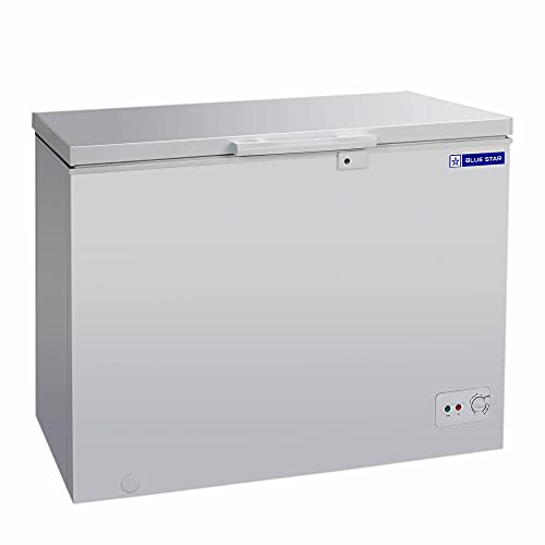 Image of BLUE STAR CHFSD100FHSW Single Door Deep Freezer (100 Ltrs, White)