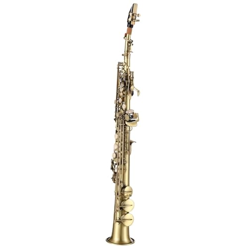 TbNX TbNXXg[g`[u B _ETbNXvtFbVivC^JTbNXǊyZbg