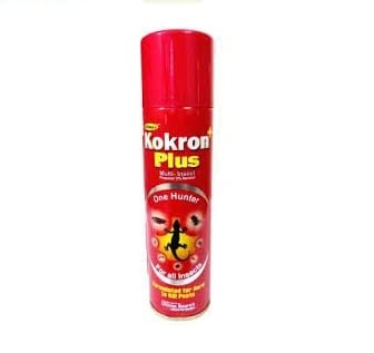 Kokron Plus Multi Insect Killer Lizard Repellent Spray (Pack of 2) (B09W9S9GVP) Amazon Price History, Amazon Price Tracker