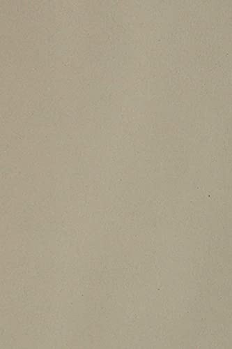 Netuno 10 cartoncini colorati grigio formato A3 297 x 420 mm 250g Burano Pietra cartoncini stampabili fai da te biglietti da visita augurii bomboniere fogli colorati carta da zucchero