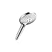 Hansgrohe 26037001 Raindance Handshower, 2.5 gallons per minute, Chrome