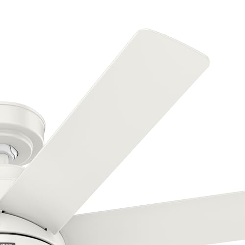 Image of Hunter Brazos Outdoor with LED Light 52 inch Fresh White - Fresh White