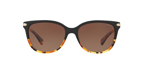 Image of Coach womens Hc8132 Cat Eye Sunglasses