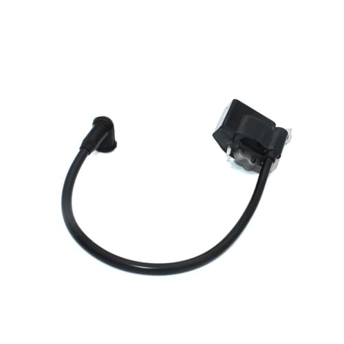 Bobina de encendido 358354831 soluciona fallos de arranque en PP375 y modelo 3800 2