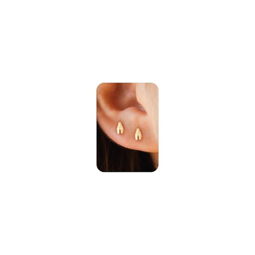 Plenky Gold Earrings for Women - 2 Pairs 14K Gold Plated Small Cicada Stud Earrings Set Insect Summer Beachy Jewelry for Women Gifts