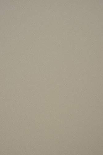 Netuno 10x Grau Bastelkarton Grau DIN A4 210 x 297 mm 360g Materica Clay Naturkarton ökologisch farbig Bastelpappe bunt Recycling-Karton A4 für Einladungen Diplome Urkunden Kalender Menükarten