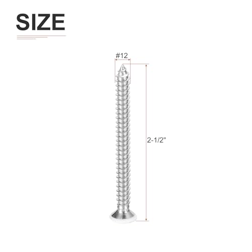 DTGN 50 Piezas Tornillos para madera 12x2-1/2 pulg acero inox miniatura 2