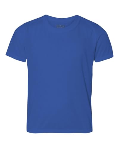 Performance T-Shirt (G420B) Royal Blue, M