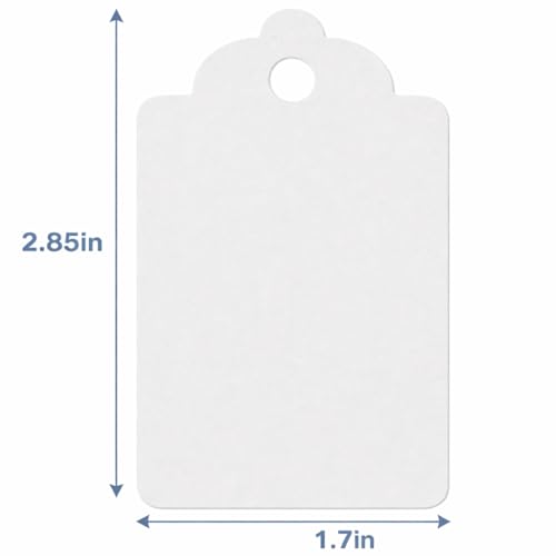 Image of CVANU 300pcs Premium Color Tag Blank Hanging with Pre-Punched Hole Tags for DIY Crafts, Gift Wrapping, Labelling & Writable Decorative Tags for All Occasions (2.85in X 1.7in) Dusty Grey