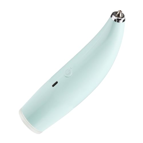 BESTYASH Portable Oxygen Injection Meter Facial Nano Mist Sprayer for Women Facial Misters Handheld Face