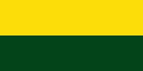 Drapeau Large Candelaria Valle del Cauca résistant aux intempéries extérieures - 2