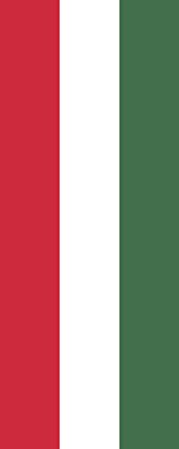Drapeau Hongrie 300x120cm pavillon vertical résistant de 3.5m² - 2