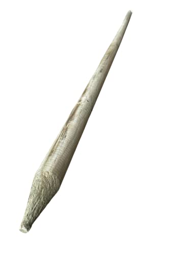 Pack 5 uds - Estacas para árboles 180 cm, Ø 4 cm - Tutores con Punta - Postes de Madera - Estacas de Fijación de Jardín - Tutores para Plantas (Verde)