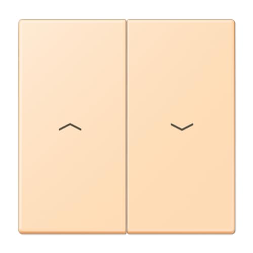 Touche double symbole volets LC32060 JUNG LC995P223 remplacez vos boutons