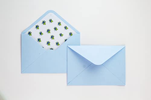 Kit Papel de Carta Arara Azul