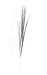 12 Pieces Silver Plain 21" Onion Grass Spray Metallic Pick Decoration