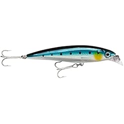 Rapala Sardina Rapala - X Rap Saltwater, Color 120 mm (22 gr), Talla 13 gr