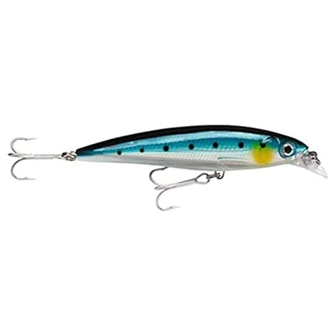 Rapala X-Rap Saltwater Lure - Blue Sardine Cover