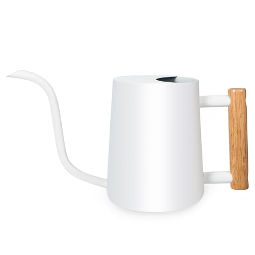 Watering Can Indoor Plants, 35oz Small Stainless Steel Metal Watering Can Modern Decorative Watering Pot with Long Spout for Indoor House Plant Bonsai Outdoor Garden Flowers -White