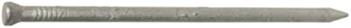 HillmanFASTENERS 461302 2.5" 8D Casing Nail