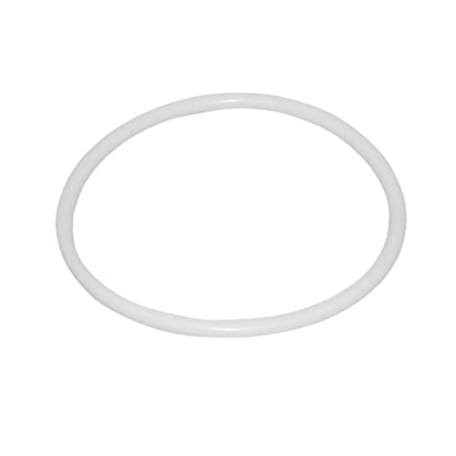 OSOLADY 20cm Dreamcatcher Hoop 10pcs Plastic Circle Rings Tassels Ideal for Craft Hoop and Dreamcatcher