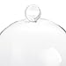 Farmlyn Creek Glass Dome Cloche Display Case - 5.1 x 5.1 x 10 in, Clear Dome & Wood Base - Cloche & Glass Cover - Succulent & Collectible Display