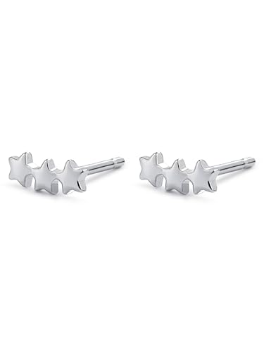 Image of Solid 925 Sterling Silver Stud Earrings for Women & Men, Hypoallergenic 18K Gold Plated & Silver Small Studs, Minimalist Elegant Earrings for Birthday, Party, Daily Gift