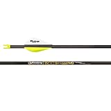 Victory Archery RIP 0.204