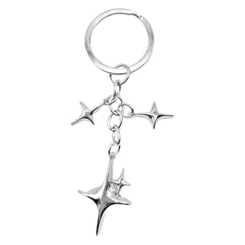 Meefisher Cute Star Keychain Aesthetic Accessories Stainless Steel Key Ring Purse Handbag Backpack Bag Charms Car Holder Cover