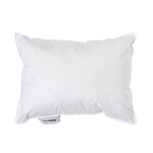 HOMESCAPES Coussin de garnissage en Plumes de Canard et Coton, Coussin à recouvrir 35x50 cm