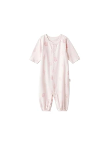 [WF[g sP] VVF2wayI[ PBCO242433 xr[ PNK 50