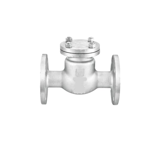 Clapet anti-retour à bride H44W-16P en inox 304 DN65
