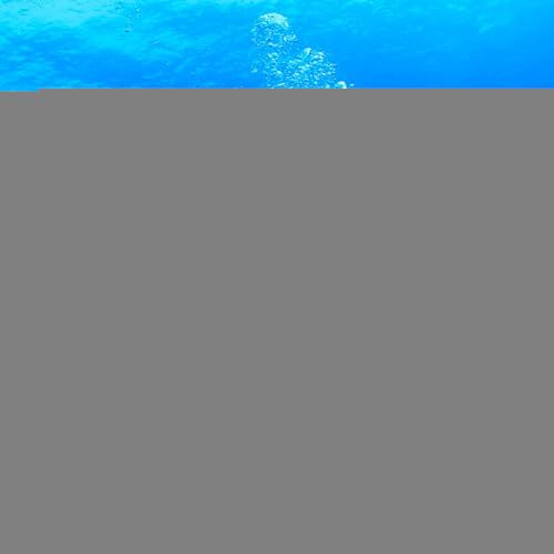 Marcadora de buceo para evitar pérdidas en superficie con flotador reflectante inflable visual 2