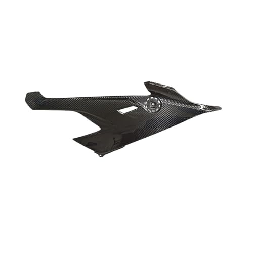 Kit de carénage de spoiler latéral de moto S1000RR 2019-2022, panneaux de couverture carbone