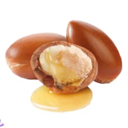 Miniatura 5 de Dry Skin  Nilotica Shea Butter Organic Vegan  East African Pure Shea  Dry Cracked Skin  Hair  Lips  Elbows  Face +Body  Multi Purpose Use  50 uses